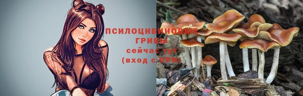 винт Горняк