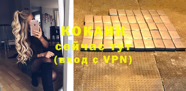 винт Горняк