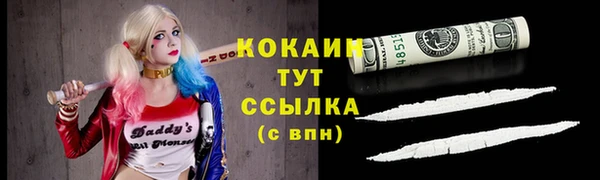 винт Горняк