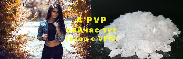 винт Горняк