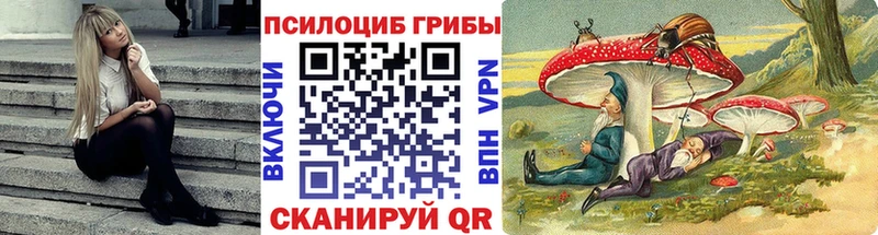 Купить  Мариинский Посад  Галлюциногенные грибы Psilocybe 