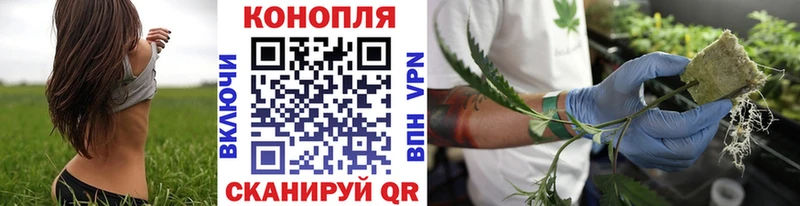 Купить  Мариинский Посад  Канабис гибрид 
